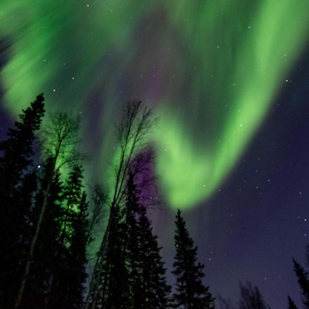Riverside Log Cabin On-Site Aurora Viewing! North Pole 外观 照片