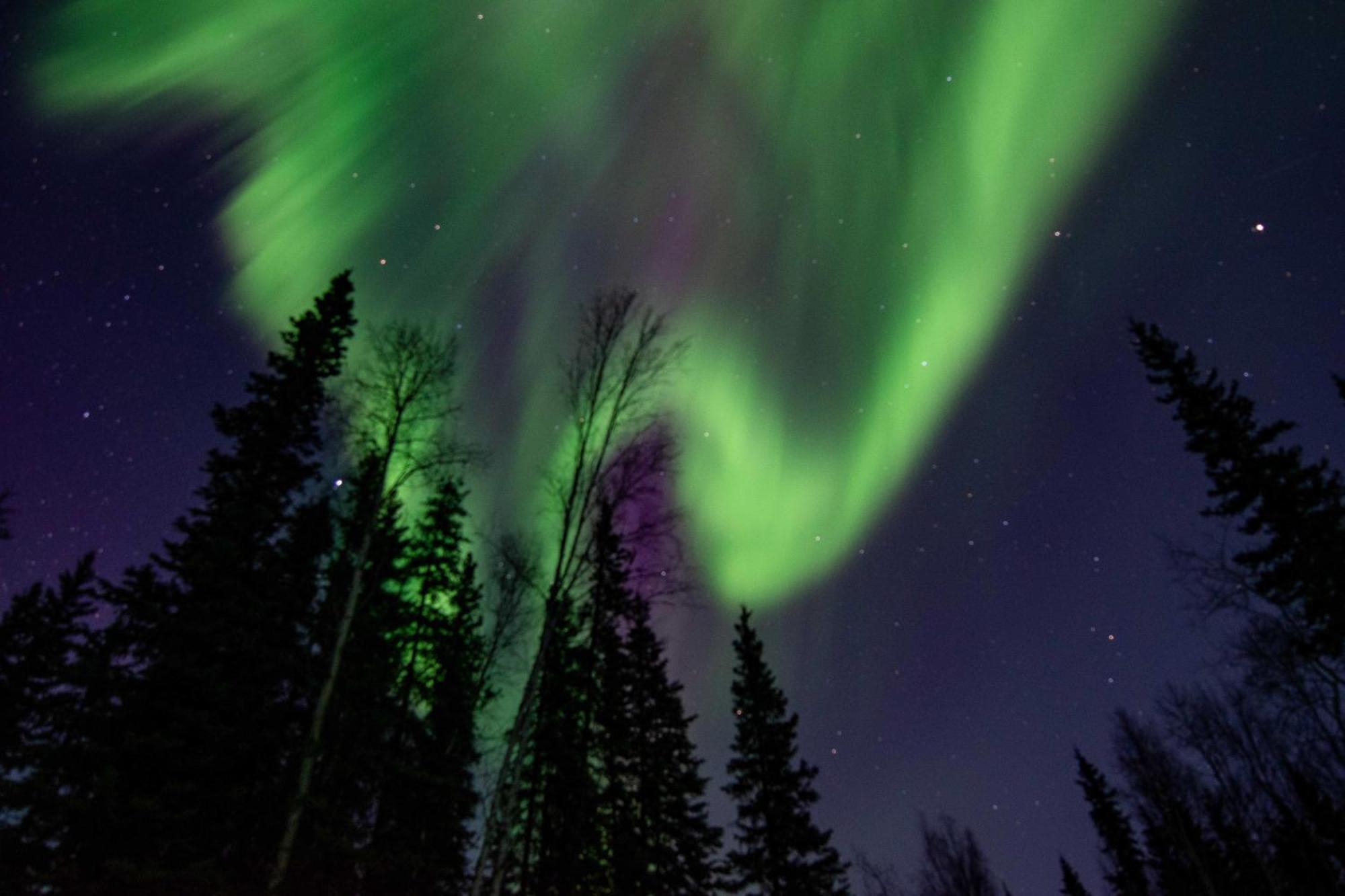 Riverside Log Cabin On-Site Aurora Viewing! North Pole 外观 照片